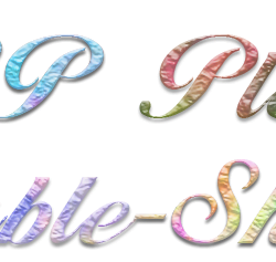 PSP Plugin Trouble Shooter